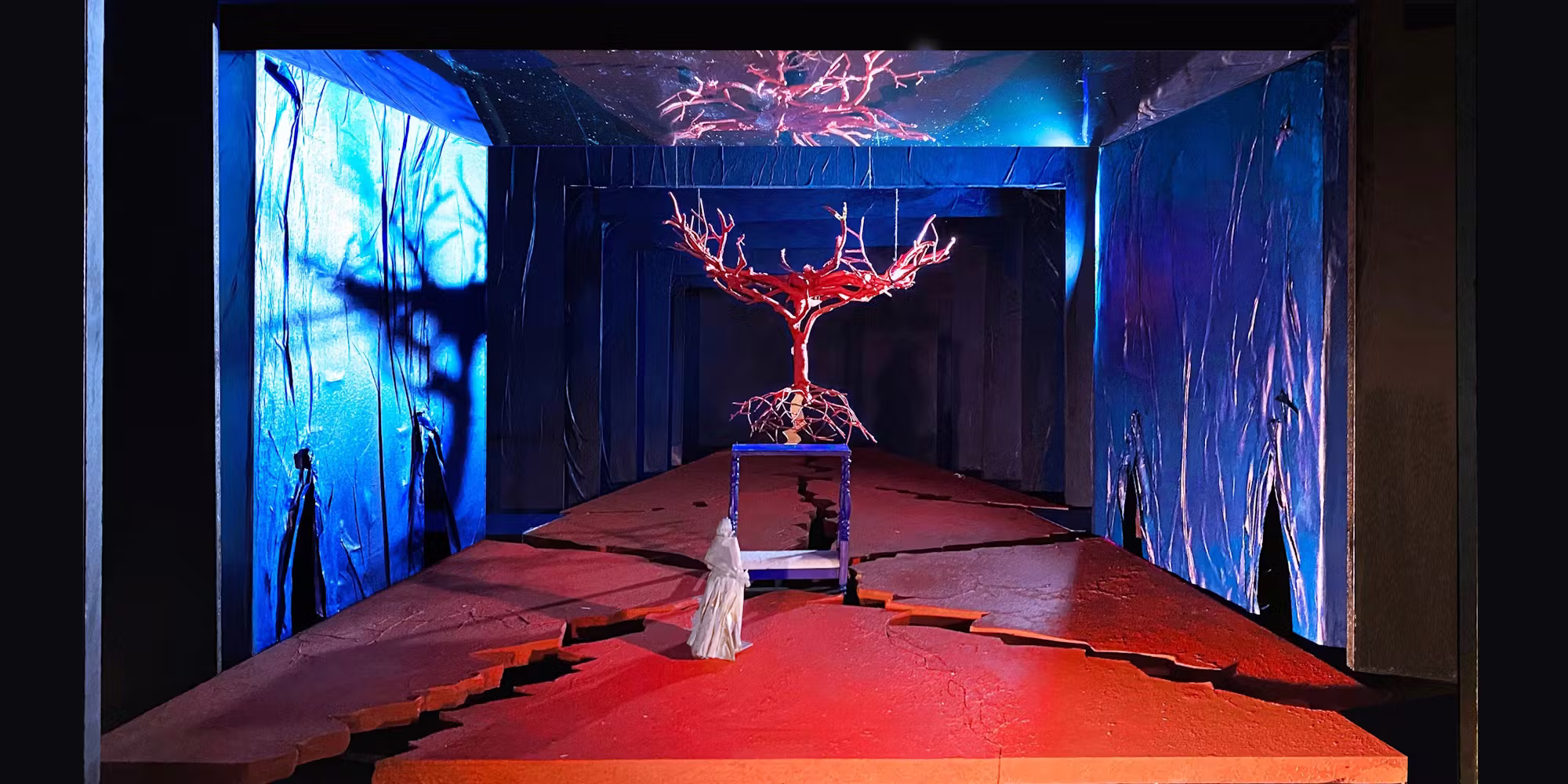 The Metropolitan Opera: El Último Sueño De Frida Y Diego